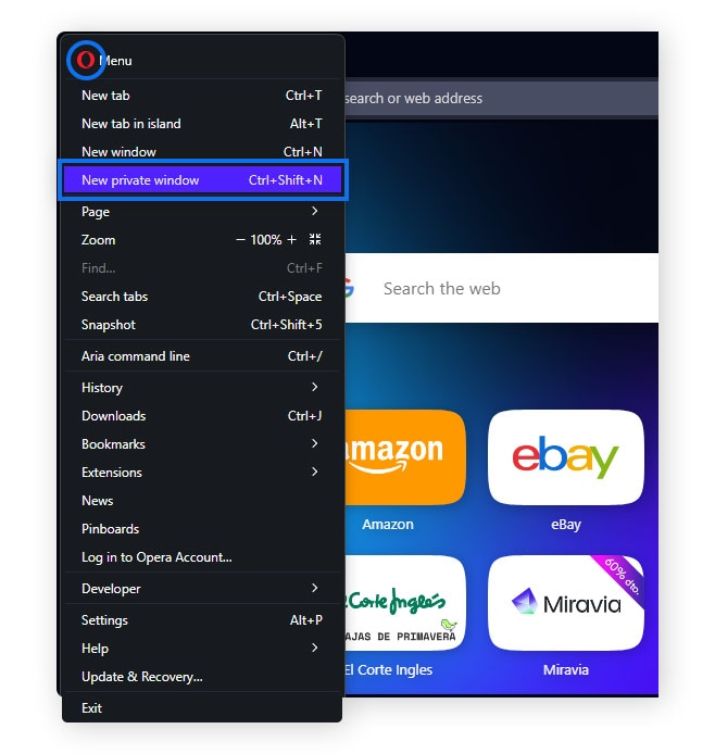 Opening a new private window in Opera.
