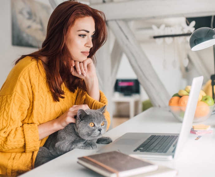 Woman using laptop and cat